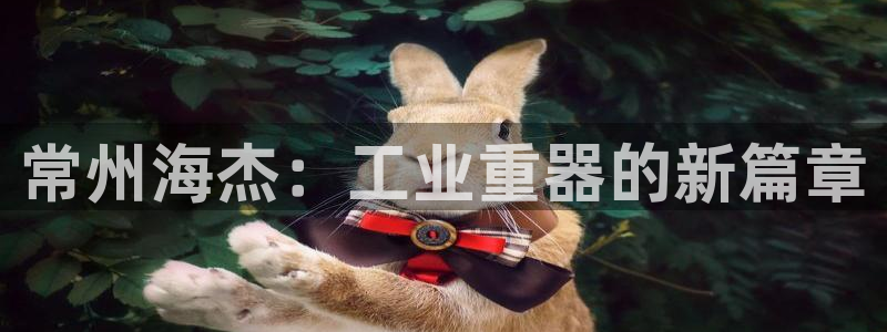 云顶集团注册送28官网