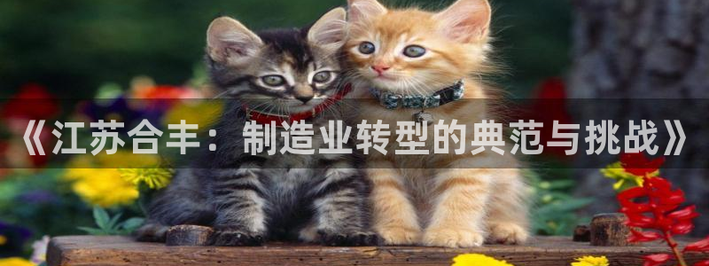 云顶集团app安卓版下载安装