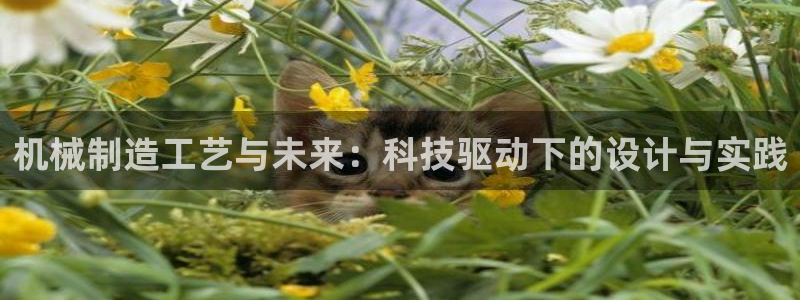 云顶线上赌博