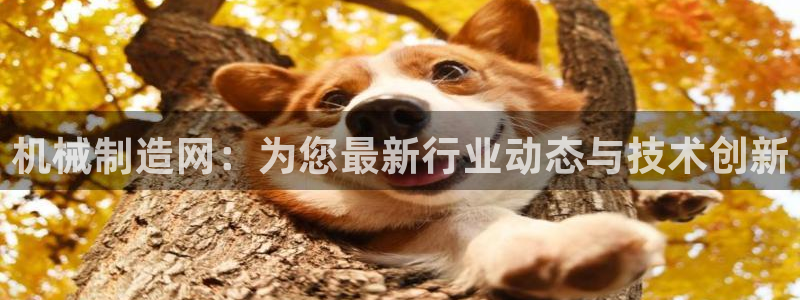 云顶国际酒店位置地图