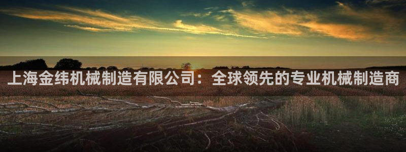 云顶国际服什么时候更新s10的