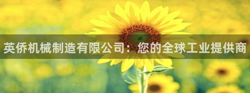云顶国际测试服免费吗
