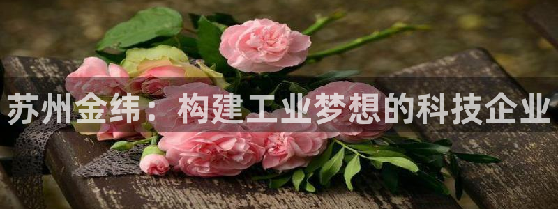 云顶国际的网址是多少啊