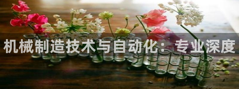 云顶国际官网app下载安装