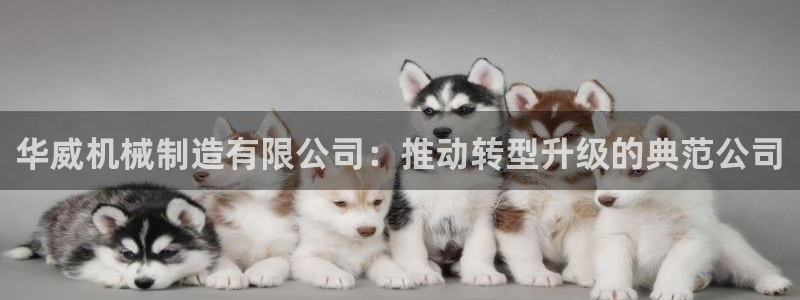 云顶国际俱乐部是干嘛的
