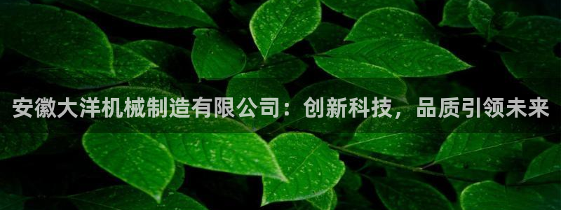 云顶集团大少爷是谁