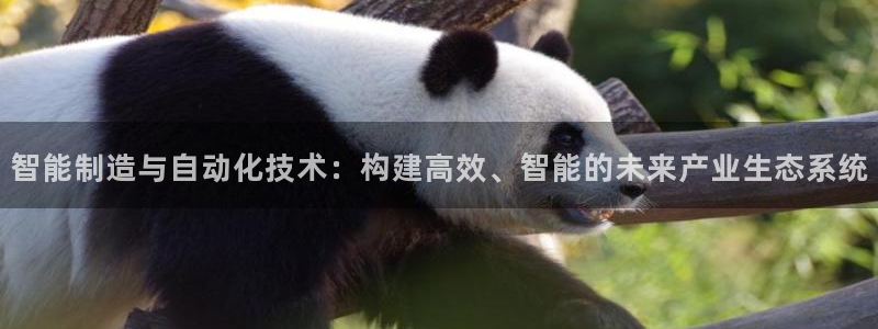 云顶国际是黑台吗还是白台