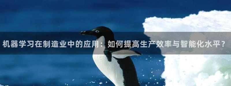 云顶国际服s9更新时间