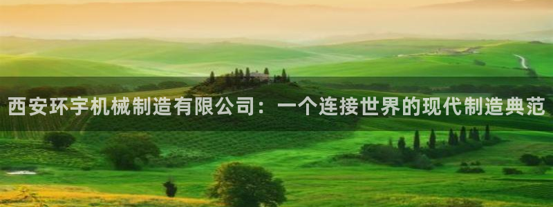 云顶国际服账号