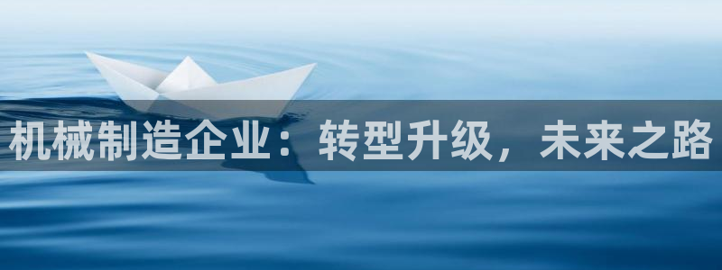 云顶国际服s11