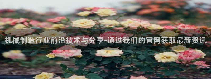 云顶手游国际