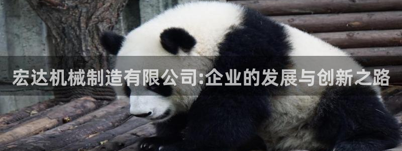 云顶国际软装公司怎么样