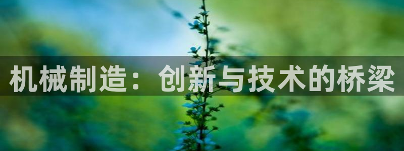 yd2333云顶电子游戏网址多少呢?