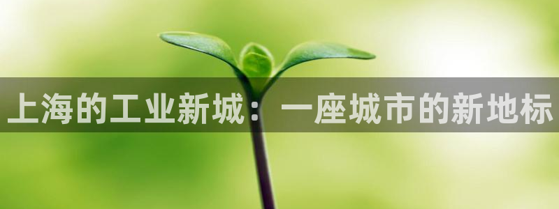 云顶国际停车费多少
