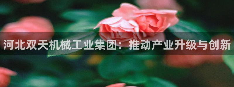 云顶国际电子游戏怎么玩