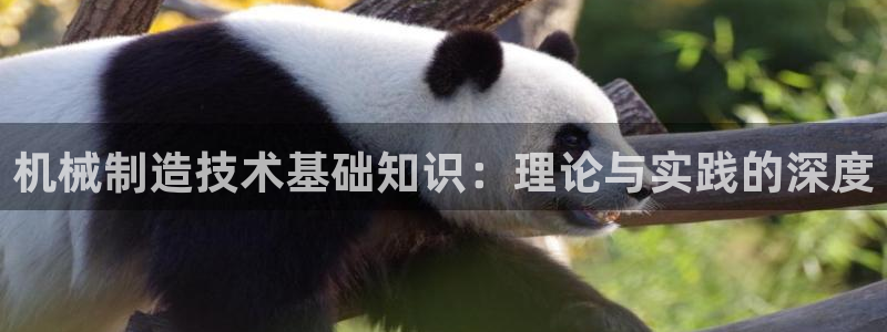 云顶国际地产
