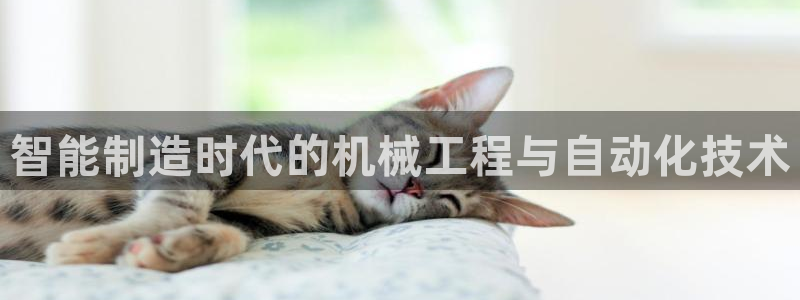 云顶国际商业广场A座101