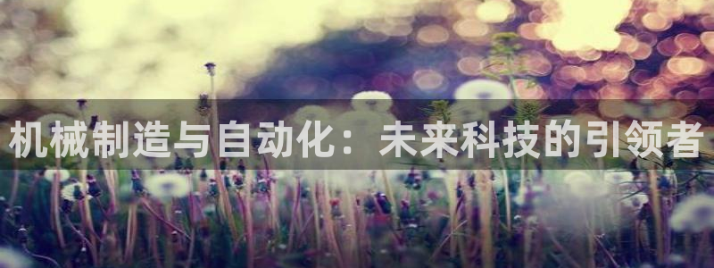 云顶集团在中国有投资吗?