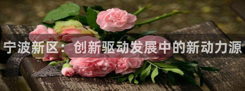 云顶国际大厦在什么地方