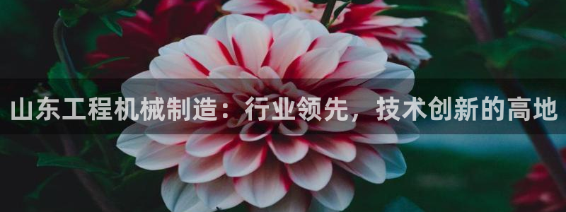 云顶官网·com