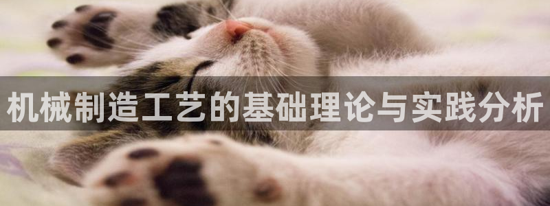 云顶集团账号怎么注册