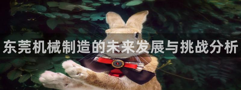 云顶国际