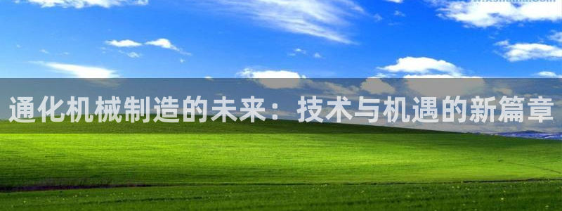 云顶国际大厦地址