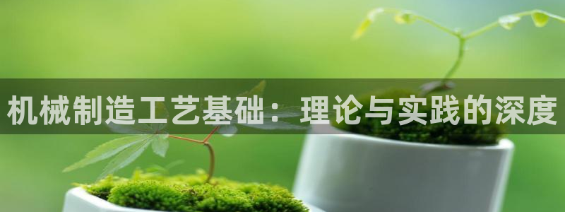 云顶国际有限公司