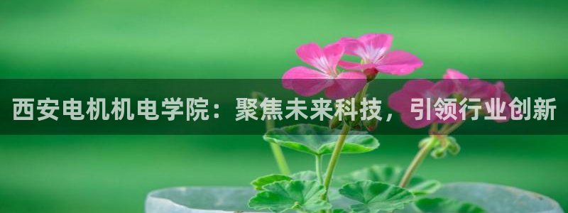 云顶集团最新官方网站入口