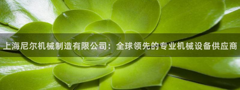 云顶国际装饰设计公司