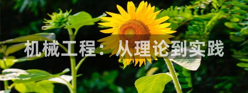 云顶国际酒店老板