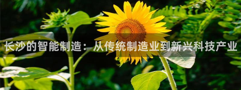 云顶国际公馆房价