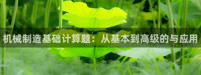 云顶国际城手机网址