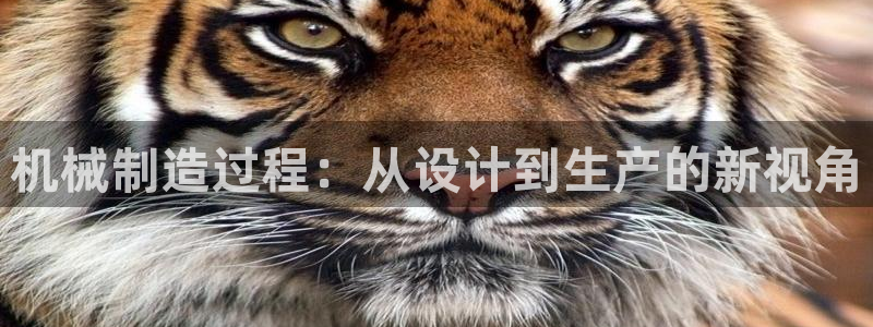 云顶yd官网2021