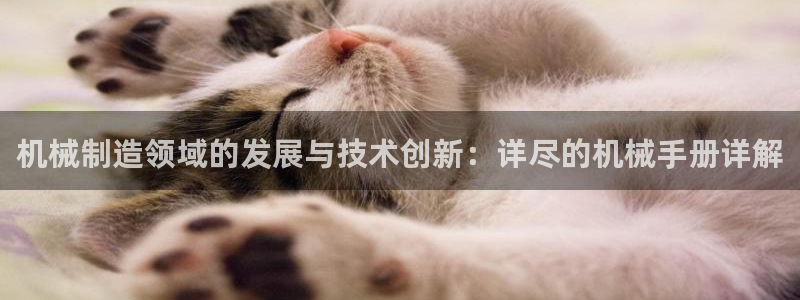 云顶国际(集团)开发实业有限公司