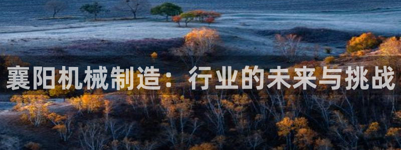 云顶集团网投领