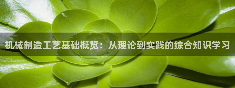云顶国际物流