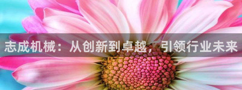 云顶网站网址