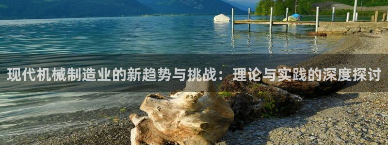 云顶国际电子游戏怎么玩