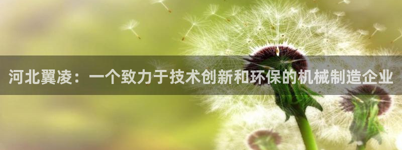 云顶国际的网址是多少