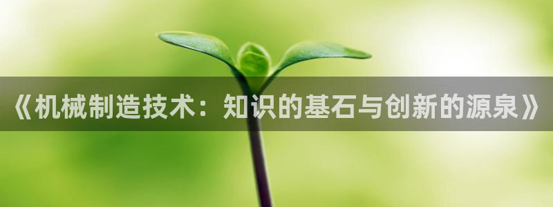 云顶28官网下载