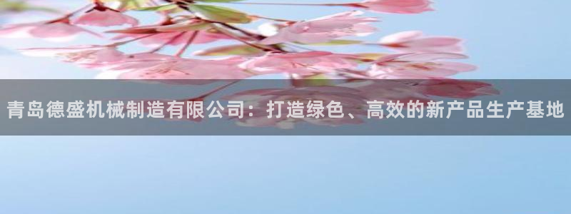 云顶集团网站多少