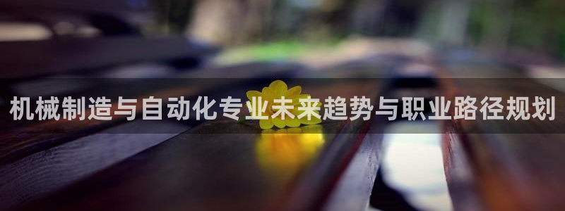 云顶国际装饰设计