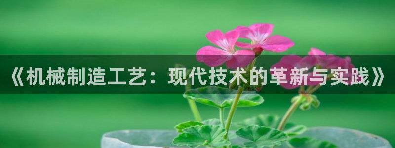 云顶集团介绍