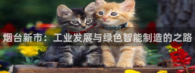 云顶手游国际服什么时候更新