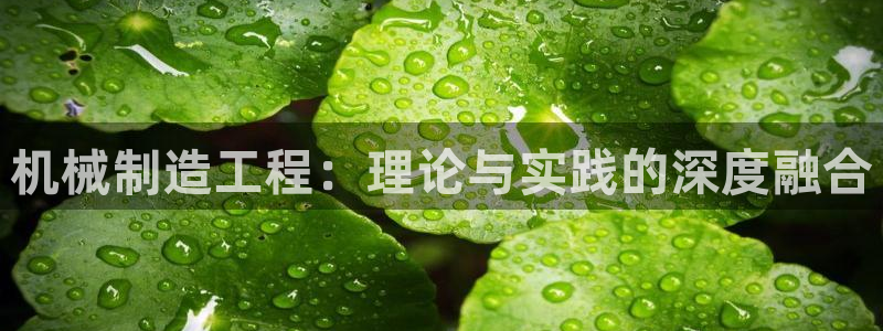 云顶集团存76送76