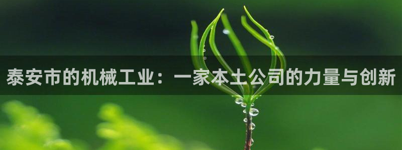 云顶国际提款不到账怎么回事