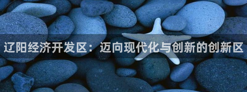 云顶集团董事长林东简历