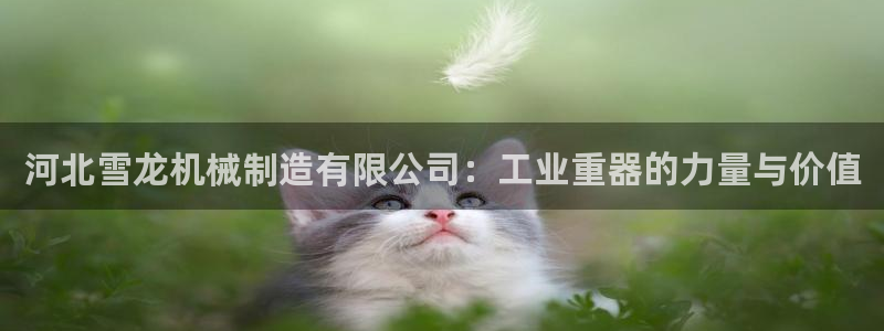 云顶集团董事长林东简历图片