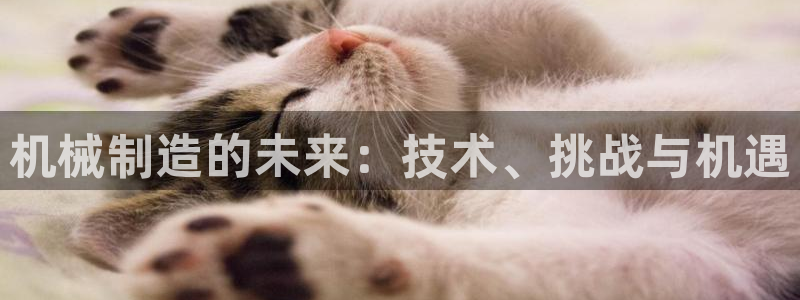 淮北云顶国际俱乐部招聘
